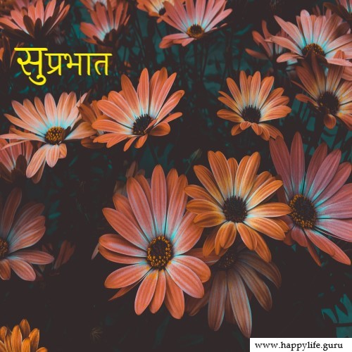 best-subhprabhat-image-with-flowers.