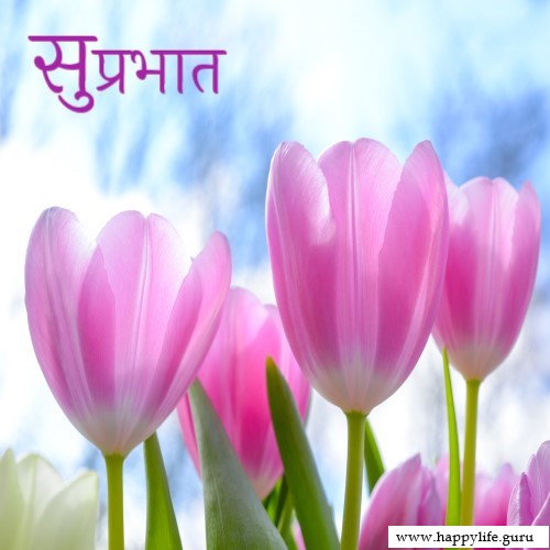  subhprabhat-image-with-lily-flowers