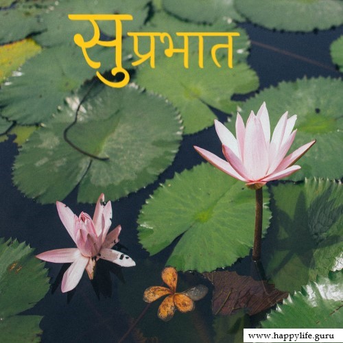 subhprabhat-images-with-lotus-flower