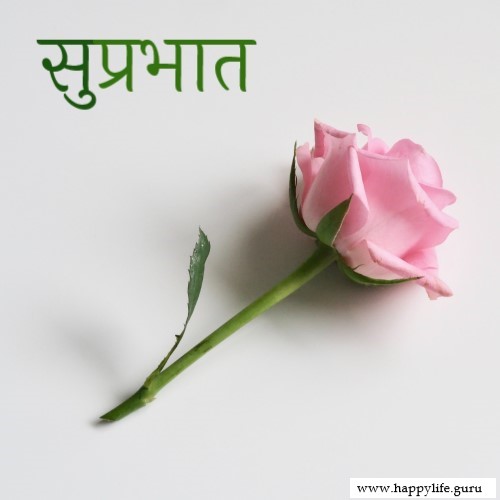  subhprabhat-images-with-rose