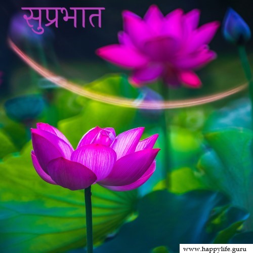  subhprabhat-pics-with-flowers.