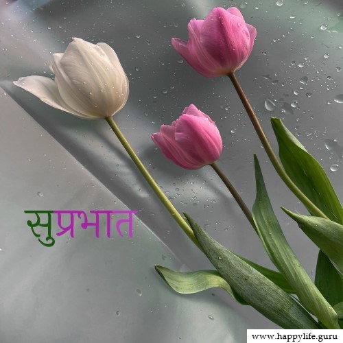  subhprabhat-quotes-in-hindi-with-flowers