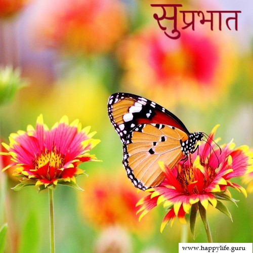  subhprabhat-with-butterfly-image.