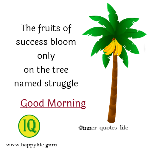  successfruit-good-morning