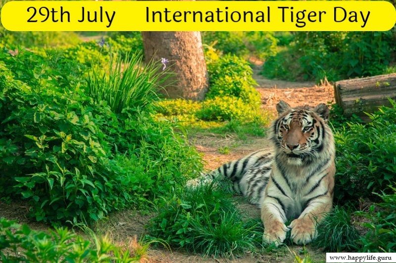  tiger-day-images.j